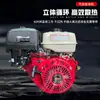 Redutor de Engrenagem 1/2 Maquinário Irrigação Agrícola Motor a Gasolina 170F/190F Motor de Combustão Interna 1800 Rpm