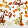 Explosiones de AliExpress 39 Peonía Naranja Hojas de Rosa Hierba Acuática Flor de Pasador de Cabello DIY Decoración de Navidad