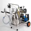 Extractor de Leche Nuevo Modelo con Bomba Integrada, Extractor de Leche Eléctrico Portátil para el Hogar con Transmisión por Correa Dividida