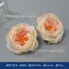 Flores Artificiales Color Champagne, Arreglos de Flores de Seda, Accesorios para el Cabello, Accesorios para Pasadores, Materiales de Manualidades, Decoraciones de Escena Hechas a Mano, Claveles