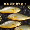 Corvina-amarela Grande, Peixe-flor Amarelo, Corvina-amarela Grande Congelada de Águas Profundas, Frutos do Mar Frescos, Frutos do Mar Congelados, Atacado Comercial