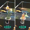 Cesta de Plantación para Acuario con Ventosa Soporte para Plantas Hidropónicas Cesta Decorativa de Pared para Plantas Acuáticas Anillo de Fijación Cesta de Plantación Algodón de Plantación