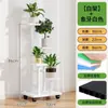 Este es un soporte para plantas/portamacetas para suculentas de varios niveles y móvil para la sala de estar y el balcón.