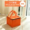 Bolsa Térmica para Bolo Spot Tecido Não Tecido Embalagem com Folha de Alumínio Grande Capacidade Portátil Bolsa Refrigerada Conservação de Frescor Atacado Comercial
