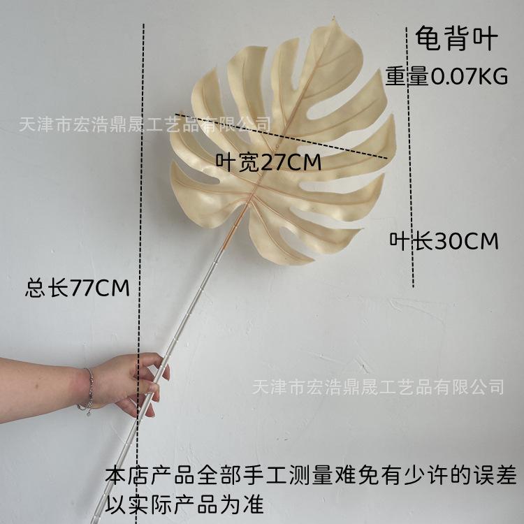 尺寸图