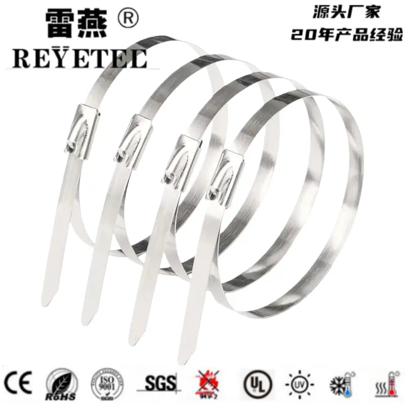 微信图片_20251110092432_319_15_副本