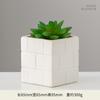 Macetas de Cerámica Modernas Simples para Suculentas Adornos Creativos Transfronterizos Jarrones Pequeños Sala de Estar Hogar Escritorio Plantas Verdes Plantas Pequeñas en Maceta