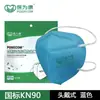 Mascarilla Baoweikang 9600 para Polvo Industrial, Protección contra el Polvo, Renovación, Lijado y Minería de Carbón, Respirador Kn90