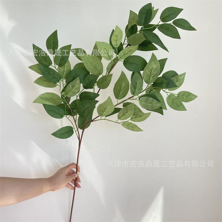微信图片_202209021633351