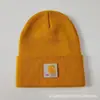 Comercio Electrónico Transfronterizo Sombrero de Lana Otoño e Invierno Japonés y Coreano Casual Gorro de Punto Ropa de Trabajo para Mujer Cálido para el Frío de Pareja Hip-Hop Versátil