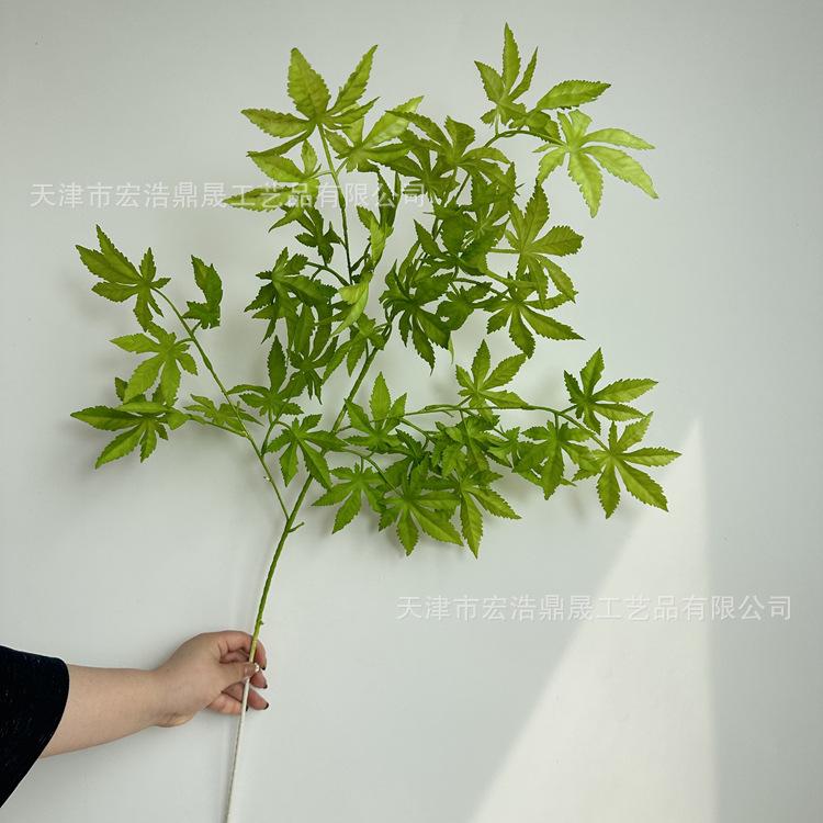 微信图片_202304021450459_副本