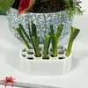 Kit de plantas hidropónicas y de tierra de cebolleta más vendido transfronterizo, no requiere habilidades, cosecha rápida, caja de plantación casera para balcón y alféizar