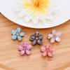 Mini Pinzas para el Cabello de Flor, Lindas y Frescas Pinzas Laterales para Flequillo, Juego de Cinco Piezas, Estilo Exquisito de Princesa, Pinzas Pequeñas para el Cabello para Mujeres