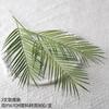 Simulação cauda solta Kwai simulação planta verde falsa flor simulação Flor Home fotografia de casamento decoração spot fabricantes atacado