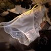 Ropa interior francesa de satén de alta calidad para mujer, sexy, de malla transparente, de cintura media-baja, antibacteriana, con cinta Pure Desire.