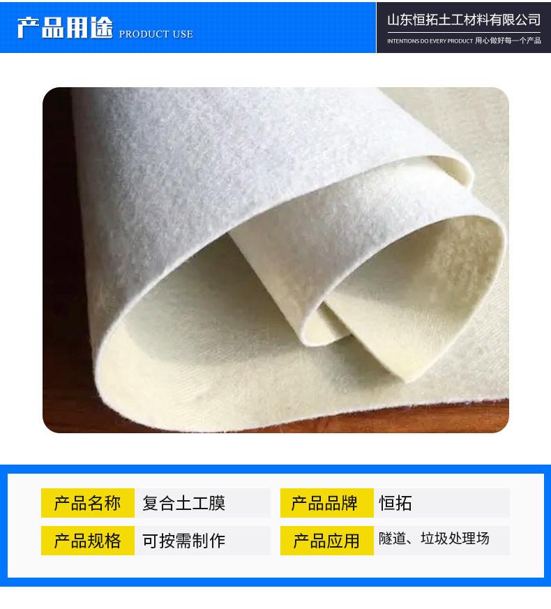 复合土工膜-1_02.jpg