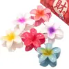 Grampo de Cabelo Plumeria Popular Europeu e Americano Estilo Férias Comércio Exterior Grampo de Cabelo Bauhinia Presilha Grande Presilha de Tubarão para Mulheres