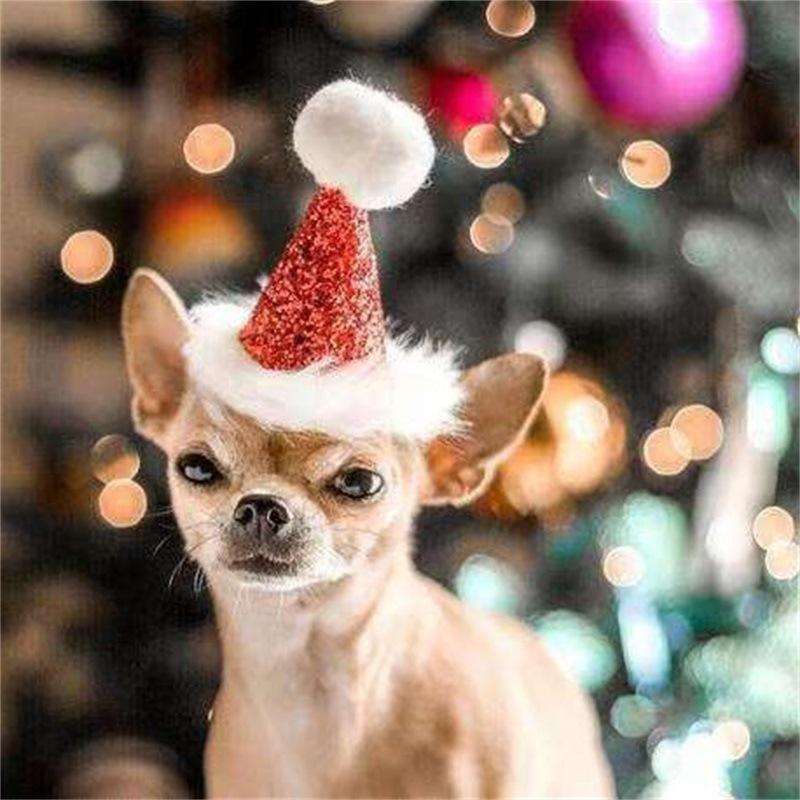 webwxgetmsgimg2_看图王