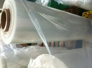 t0174e283bc4684d7cb.jpg