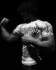 Breathedivinity 2025 Roupas Fitness Masculinas Manga Curta Esportes Fitness Meias de Secagem Rápida