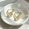 Brincos de Zircônia Dourada para Mulheres, Design de Nicho, Brincos de Luxo de Alta Qualidade, Novo Estilo 2026, Modernos e Versáteis, Elegantes Acessórios de Orelha