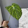 Planta Verde Simulada Goteando Guanyin Hoja de Tortuga Pluma de Primavera Girasol Sanwei Hoja de Falso Mori Flor de Boda Hoja Decorativa Ornamental Material