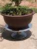 Herramientas para Hacer Bonsái Exhibidor Giratorio Tocones de Árboles de Bonsái Poda Profesional Mesa Giratoria para Poda de Flores y Plantas en Maceta Manual