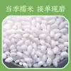 Arroz glutinoso personalizable Producción OEM 5 kg Una bolsa de arroz de cinco granos y multi-grano de nueva cosecha para zongzi, arroz de grano redondo, arroz Jiangmi