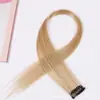 Suporte para uma geração de cabelo] peruca colorida peça de cabelo liso orelha pendurada peruca tingida clipe de peruca tira de peruca tingida com mechas