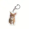 Llavero Acrílico Gato Banana Feliz Gato Feliz Transfronterizo Llavero Emoji Cabeza de Gato Comida Divertido