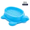Nueva Caja de Hierba para Gatos Tortuga Semilla de Trigo Sin Tierra Hidropónica Bocadillos para Gatos Set de Hierba para Gatos Perezosos en Maceta