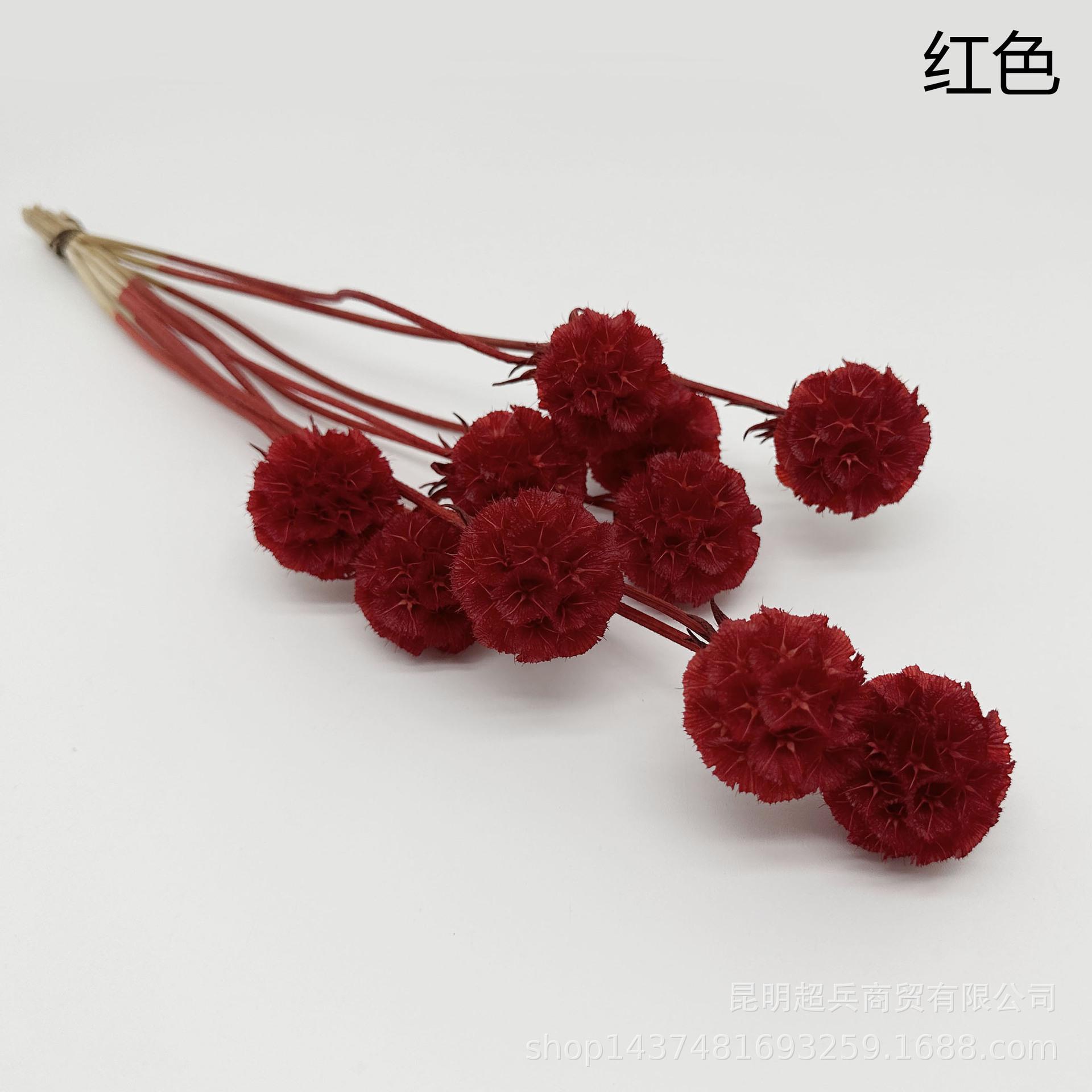 27红色.jpg