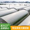 Invernadero individual Esqueleto de cría y plantación Gallinero agrícola doméstico para cerdos y pollos Invernadero simple para el cultivo de hortalizas Construcción de invernadero Invernadero de cría