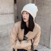Chapéu de lã cinza de alpaca para mulheres, outono e inverno, chapéu de malha quente, chapéu de pelo de maré, biqueira, chapéu frio