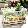 Tanque de Tortuga para Cría de Acuario de Plástico Transparente Ecológico para Peces Dorados con Tapa, Tanque Pequeño de Escritorio para Sala de Estar, Tanque de Acuario de Plástico Transparente Ecológico para Peces Dorados con Tapa