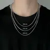 Accesorios Collar de Cadena de Hueso de Serpiente para Hombre Marca de Nicho de Moda para Hombre Fino Acero de Titanio Combinable Cadena Clavicular Cadena