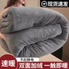Colcha de algodão de inverno de veludo de leite dupla face Classe A 10kg grossa quente dormitório estudantil inverno individual primavera e outono núcleo de colcha