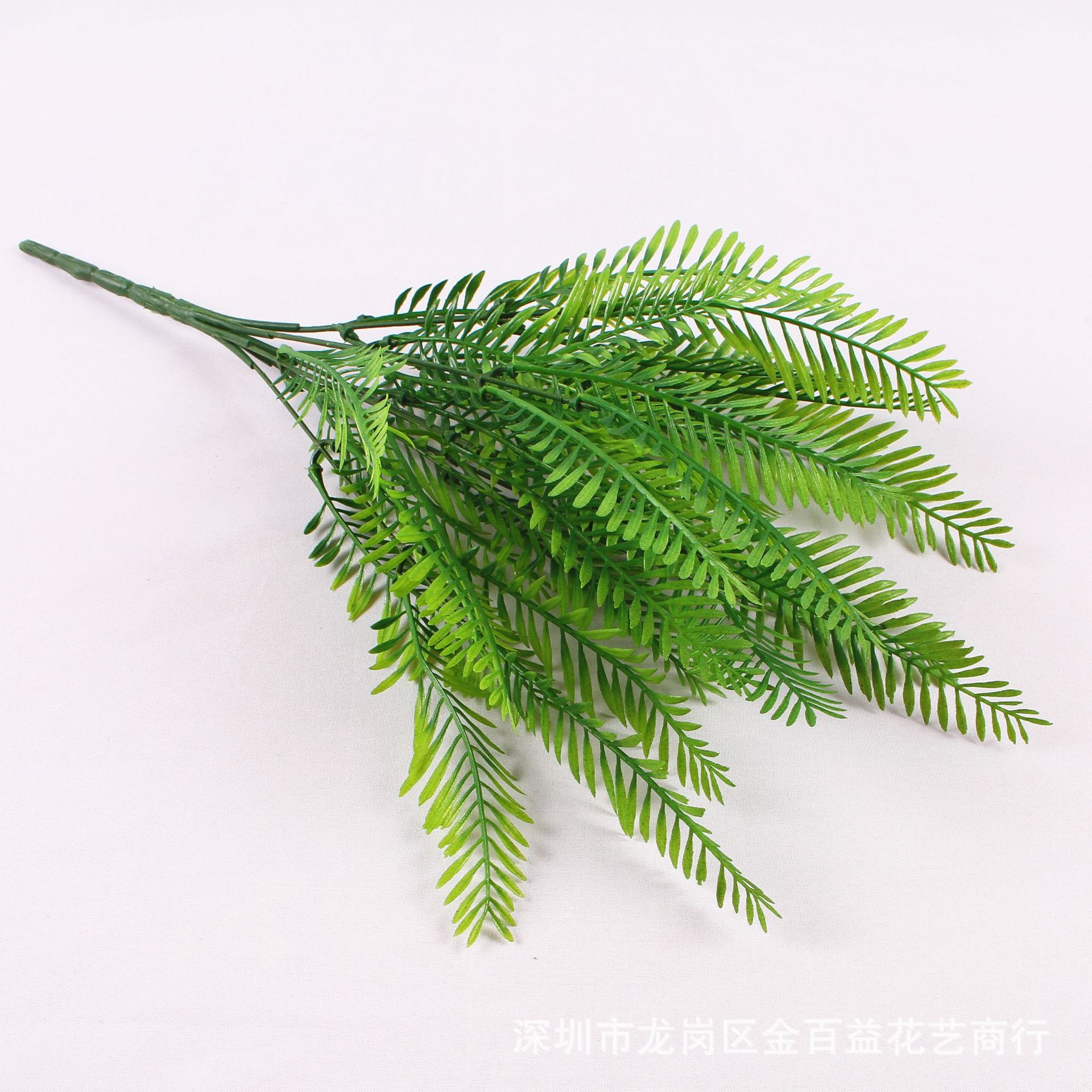 IMG_0240_副本.jpg