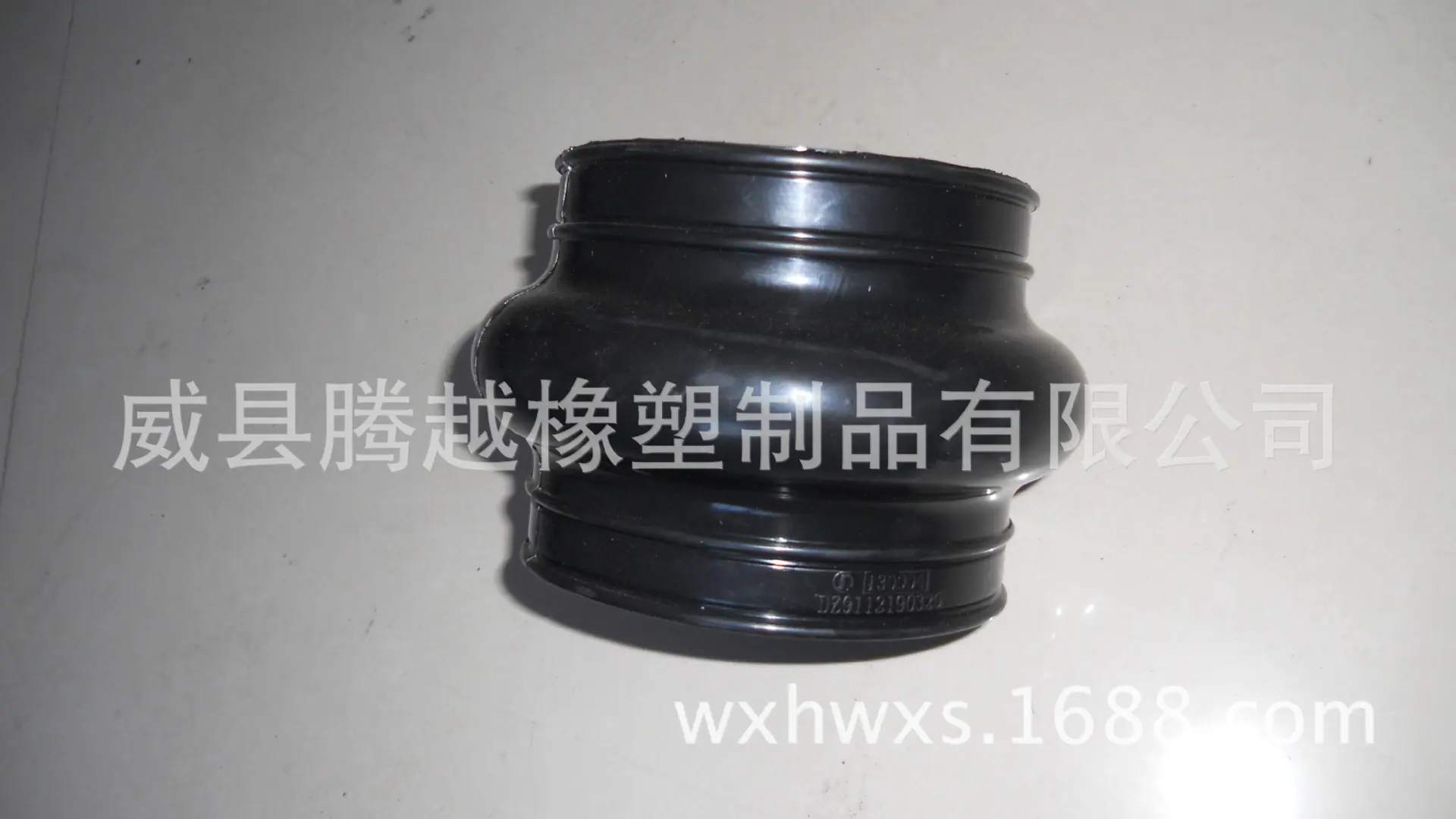DSCN1751