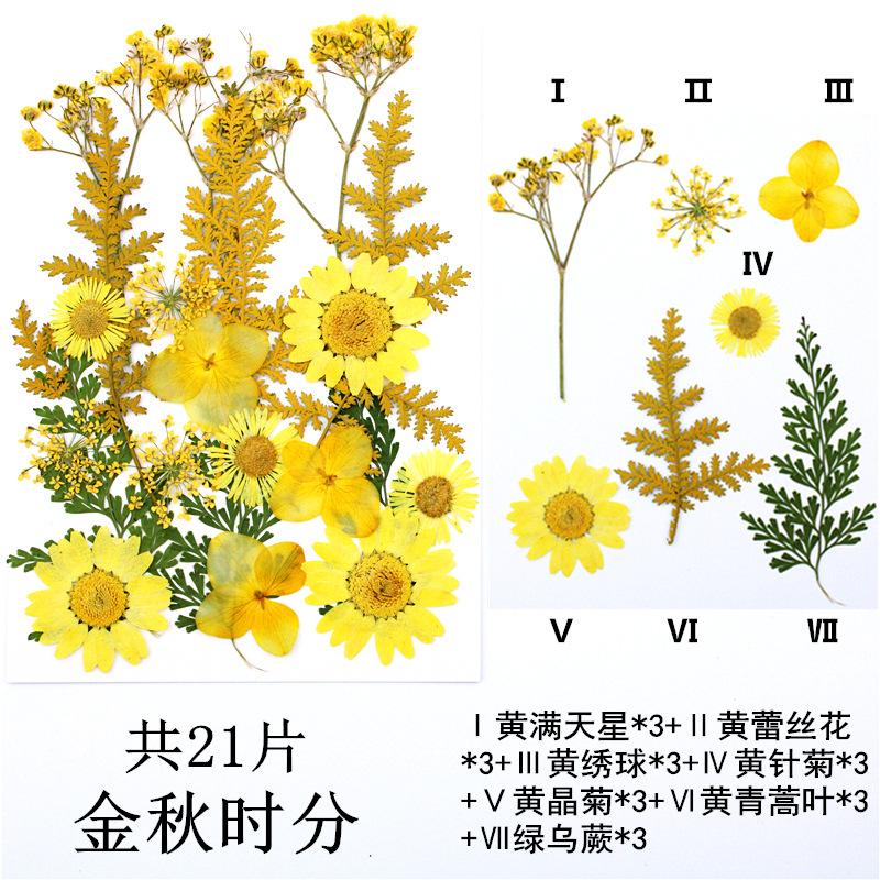 IMG_4164_副本_副本.jpg