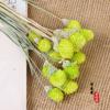 Flor Seca rojo mil días ramo de flores secas fruta fresa regalo de San Valentín accesorios de decoración para el hogar producción