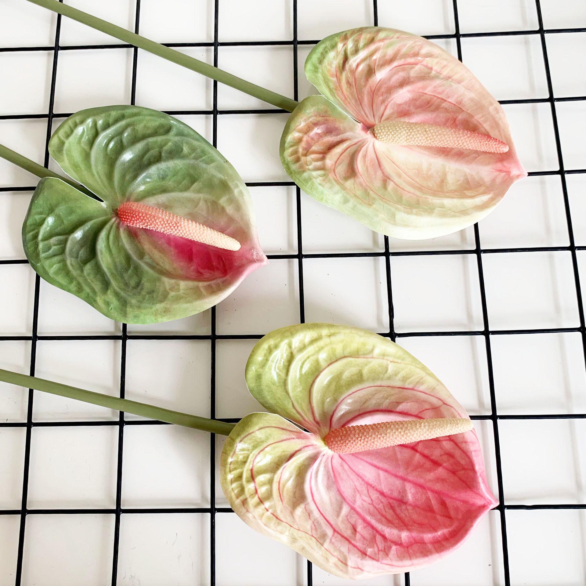 QQ图片20200809102920