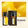 Aceite Esencial Aromaterapia Spot Soluble en Agua de Fábrica 10ml Ambientador Humidificador Difusor Aromaterapia Fragancia de Larga Duración