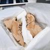 Zapatos D Family Torre para Mujer ins Modernos de Cuero Genuino 2023 Nuevo Estilo con Cordones Punta Redonda Pie Pequeño Suela Gruesa Aumentada Tenis para Mujer