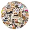 50 Lindos Stickers de Graffiti de Colección de Gatos y Perros para Botellas de Agua, Maletas, Cuadernos y Decoraciones de Teléfono al por Mayor