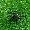 Araña de Simulación de Plástico Juguete de Broma 2025 Nuevo Halloween Fiesta Decoración Accesorio Juguete Accesorios de Araña Pequeña