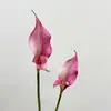 Lírio Calla Branco Simples de Alta Qualidade Alocum Flor Artificial Realista Modelo Sala Simulação Fotografia de Casamento Flor para Segurar