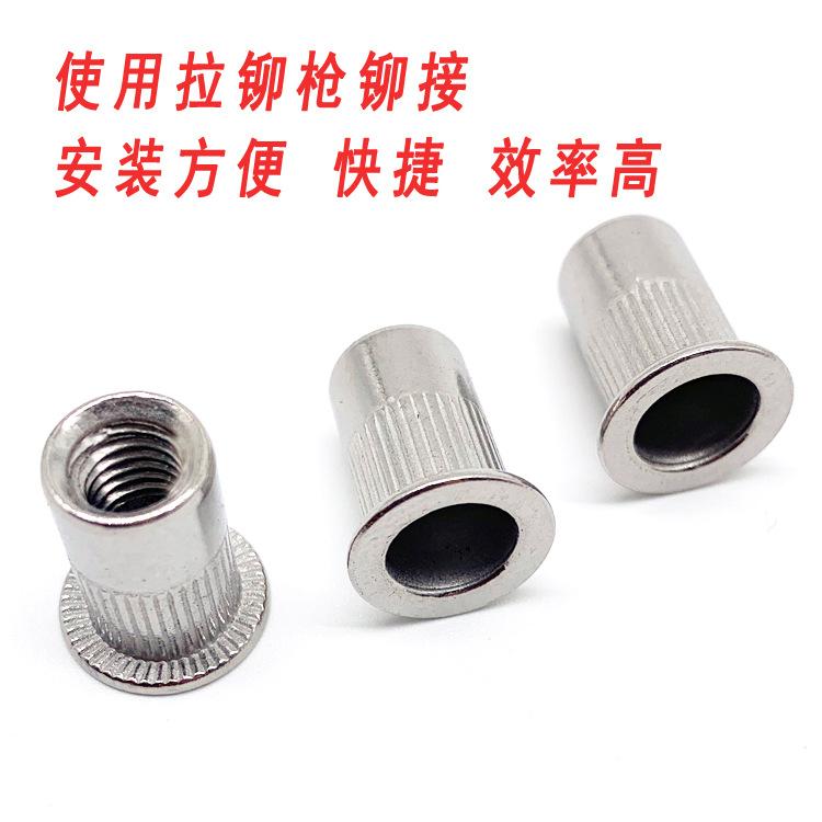 304铆螺母4.jpg