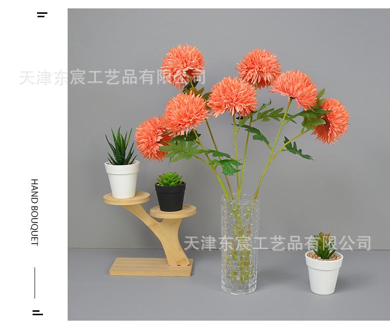 详情_13.png
