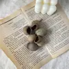 Espécimes de Plantas Secas Importados Atacado, Pacotes de Material de Feijão, Acessórios Artesanais para DIY, Flores Secas